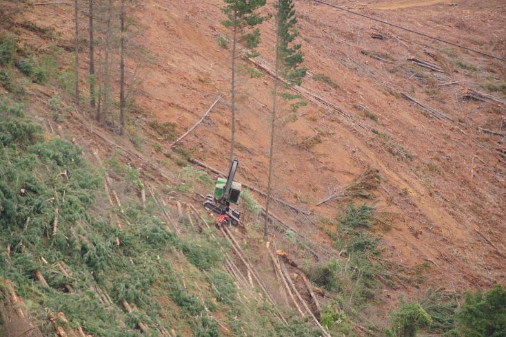 Slope terrain suitability for winch forestry tether